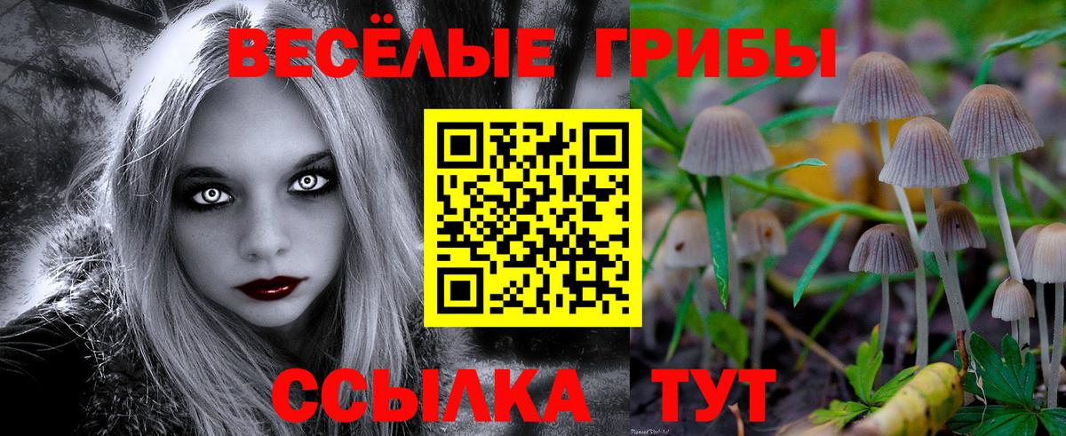 Галлюциногенные грибы мицелий  Вход с VPN  Псилоцибиновые грибы прущие грибы  наркота  Гулькевичи 