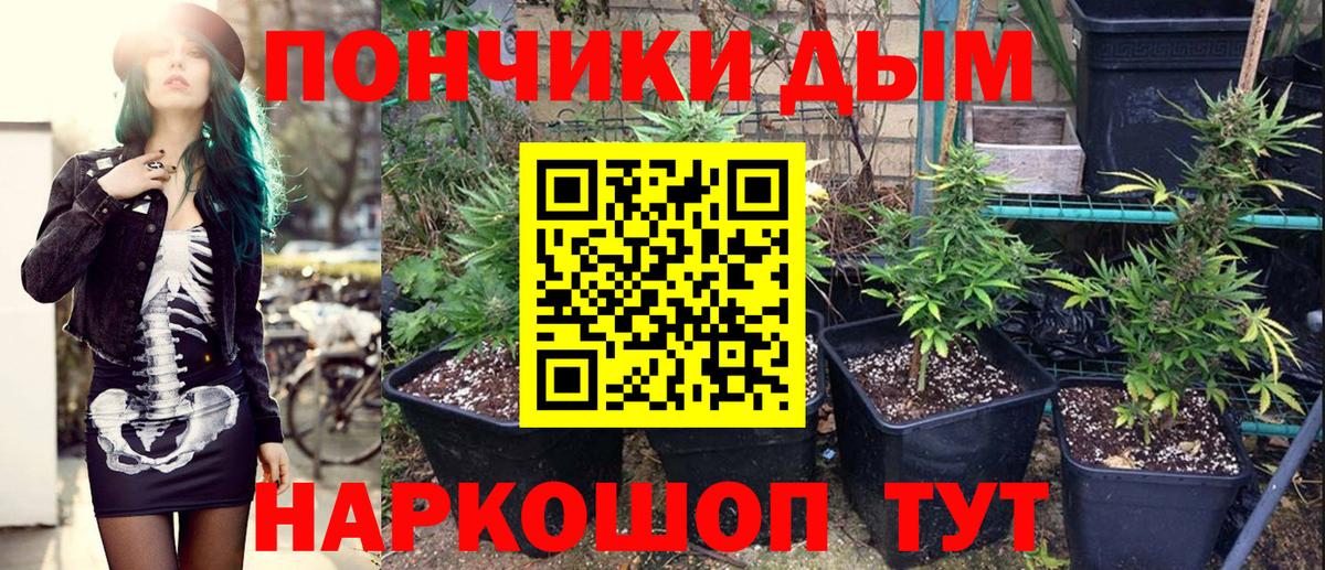Каннабис план  Конопля LSD WEED  Гулькевичи  Шишки марихуана сатива  Конопля SATIVA & INDICA  Вход с VPN 